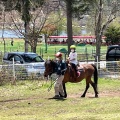 実際訪問したユーザーが直接撮影して投稿した芦田八ケ野遊園地 / テーマパーク白樺リゾート 池の平ファミリーランドの写真