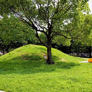 実際訪問したユーザーが直接撮影して投稿した安城町公園昭林公園の写真