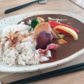 SEANEカレー(とろ豚と彩り野菜のカレー) - 実際訪問したユーザーが直接撮影して投稿した東滑川町カフェカフェ&ダイニング 海音の写真のメニュー情報