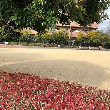 ekoekko-tさんが投稿した山田市場公園のお店山田川公園/ヤマダガワコウエンの写真