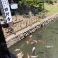 実際訪問したユーザーが直接撮影して投稿した家富町寺鑁阿寺の写真