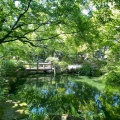 実際訪問したユーザーが直接撮影して投稿した住吉庭園楽水園の写真