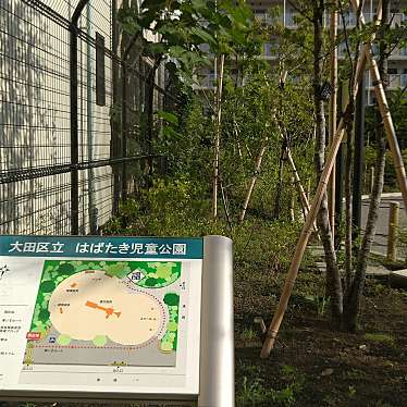 実際訪問したユーザーが直接撮影して投稿した本羽田公園はばたき児童公園の写真