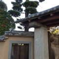 実際訪問したユーザーが直接撮影して投稿した伊興本町寺東岳寺の写真