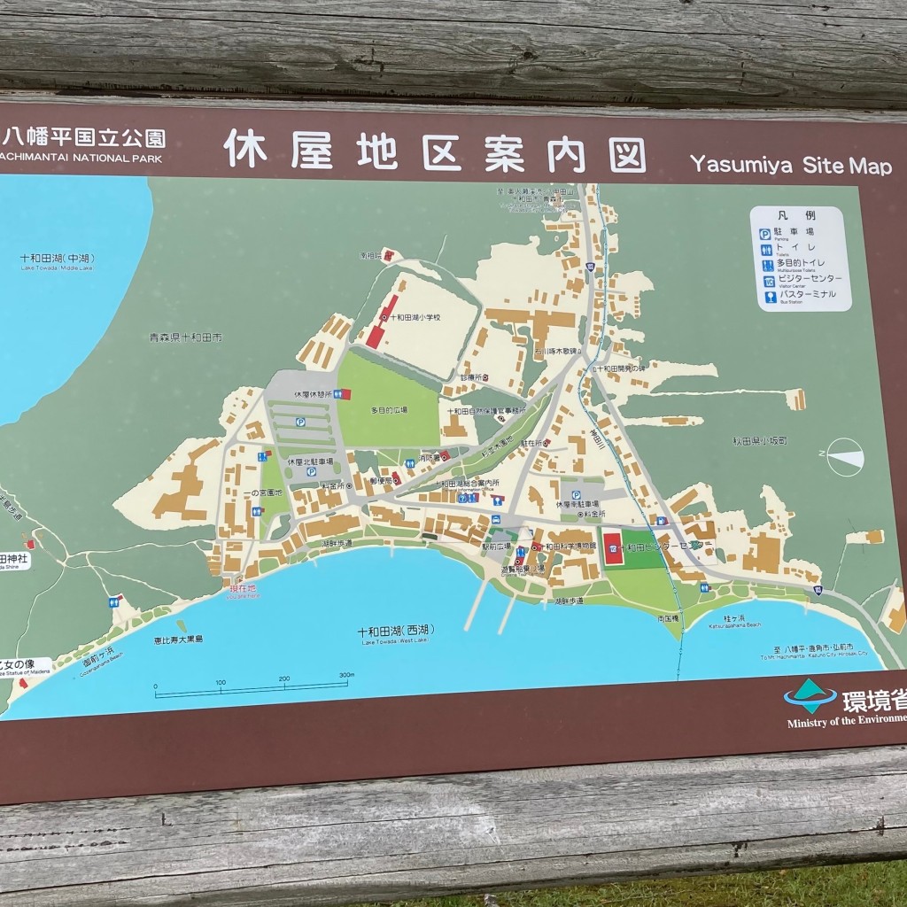 実際訪問したユーザーが直接撮影して投稿した公園十和田八幡平国立公園の写真
