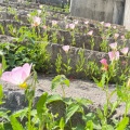 実際訪問したユーザーが直接撮影して投稿した公園西部埋立第二公園の写真