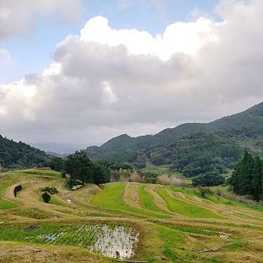 実際訪問したユーザーが直接撮影して投稿した平塚景勝地 / 百選大山千枚田の写真