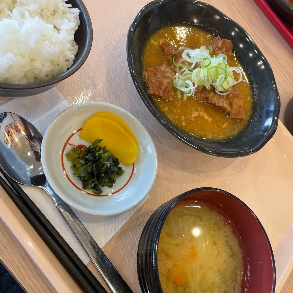 ユーザーが投稿したホルモン煮込み定食(白)の写真 - 実際訪問したユーザーが直接撮影して投稿した辺田見ホルモンイチニコ食堂の写真