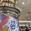 実際訪問したユーザーが直接撮影して投稿した角田町ジュースバー発酵 CALPIS PARLORの写真