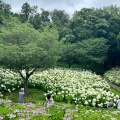 実際訪問したユーザーが直接撮影して投稿した下九沢公園相模原北公園の写真