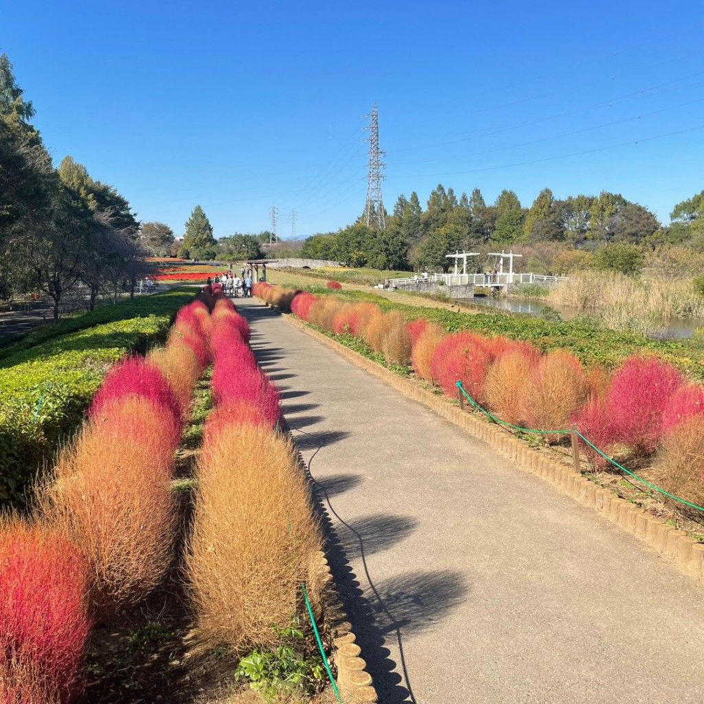 実際訪問したユーザーが直接撮影して投稿した西新井公園大宮花の丘農林公苑の写真