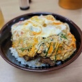 カツ丼 - 実際訪問したユーザーが直接撮影して投稿した田代町丼ものたけふくの写真のメニュー情報