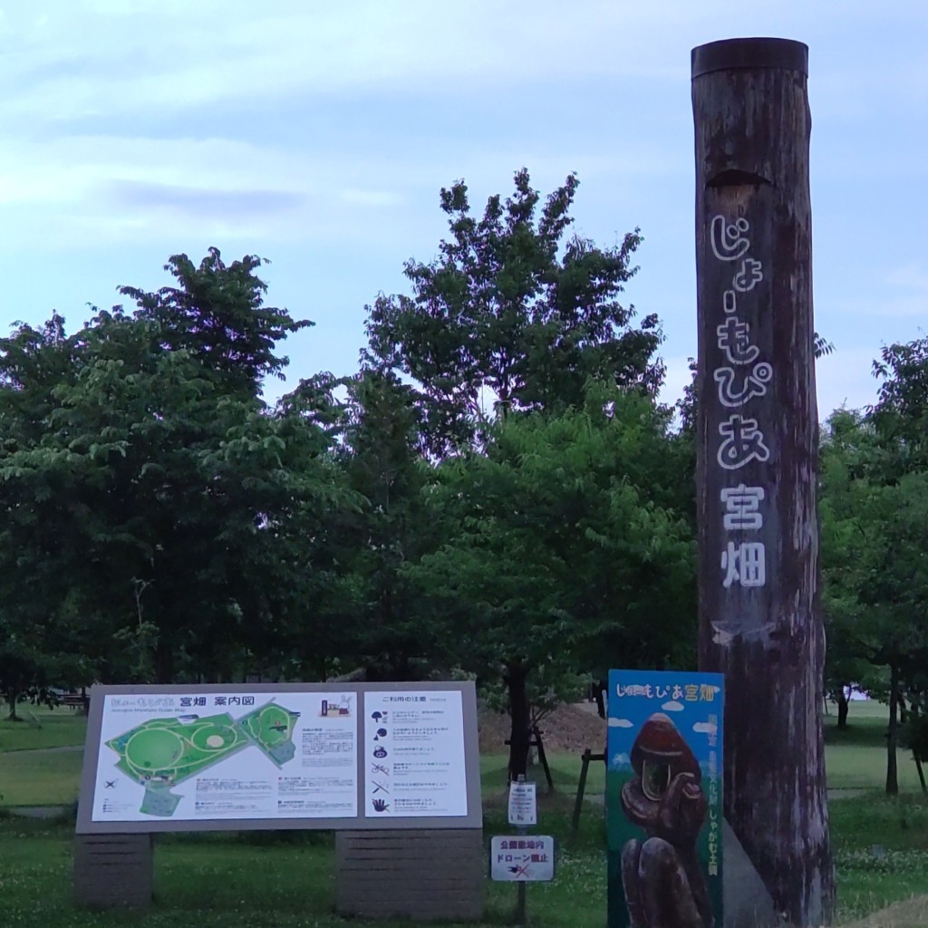 実際訪問したユーザーが直接撮影して投稿した岡島公園じょーもぴあ宮畑の写真