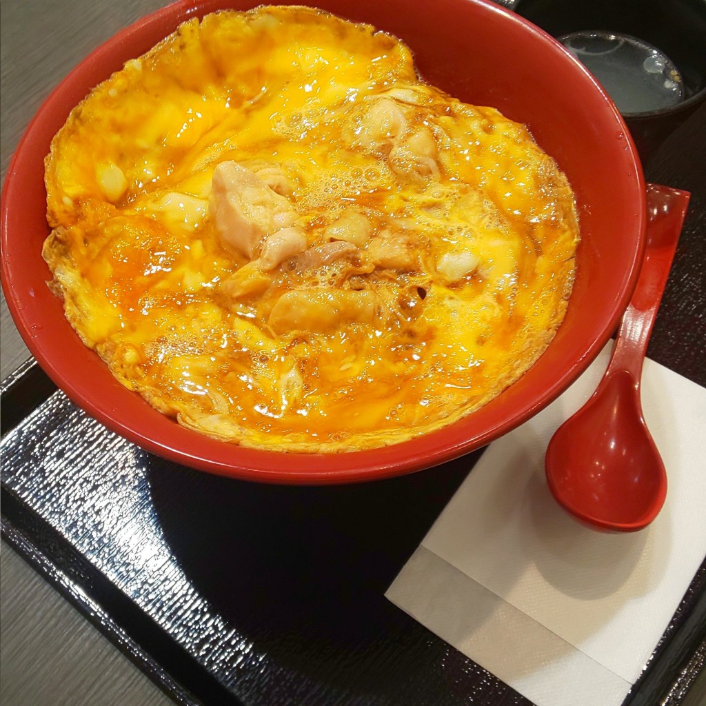 ユーザーが投稿した親子丼の写真 - 実際訪問したユーザーが直接撮影して投稿した飯積焼鳥鳥開総本家 酒々井プレミアム・アウトレット店の写真