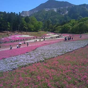 羊山公園 芝桜の丘のundefinedに実際訪問訪問したユーザーunknownさんが新しく投稿した新着口コミの写真