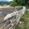 実際訪問したユーザーが直接撮影して投稿した多久町カフェスローカフェの写真