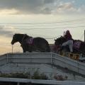 実際訪問したユーザーが直接撮影して投稿した西十三条南競馬場帯広競馬場の写真