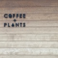 実際訪問したユーザーが直接撮影して投稿した吉田コーヒー専門店コーヒーアンドプランツの写真