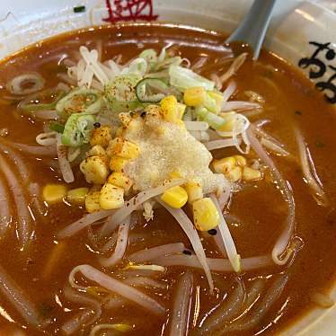 実際訪問したユーザーが直接撮影して投稿した下小出町ラーメン専門店おおぎやラーメン 前橋下小出の写真