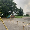 実際訪問したユーザーが直接撮影して投稿した新座公園中央公園の写真