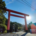 実際訪問したユーザーが直接撮影して投稿した筑波山 / 峠筑波山の写真