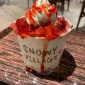 実際訪問したユーザーが直接撮影して投稿した福岡かき氷SNOWY VILLAGE イオンタウンふじみ野店の写真