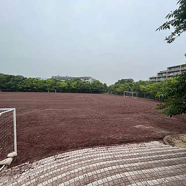 実際訪問したユーザーが直接撮影して投稿した公園宝野公園の写真