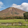 実際訪問したユーザーが直接撮影して投稿した大山山 / 峠大山の写真