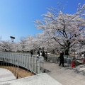 実際訪問したユーザーが直接撮影して投稿した一番堀通町公園白山公園の写真