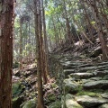 実際訪問したユーザーが直接撮影して投稿した木本町山 / 峠松本峠の写真