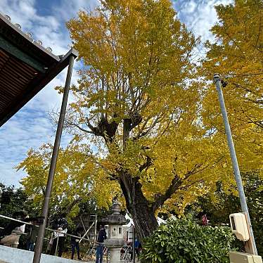 実際訪問したユーザーが直接撮影して投稿した祖父江町山崎自然名所祐専寺イチョウの写真