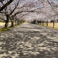 実際訪問したユーザーが直接撮影して投稿した山田町公園加賀市中央公園の写真