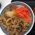 牛丼 - 実際訪問したユーザーが直接撮影して投稿した南幸牛丼吉野家 横浜駅西口店の写真のメニュー情報