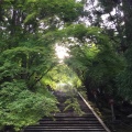 実際訪問したユーザーが直接撮影して投稿した嵐山虚空蔵山町寺法輪寺の写真