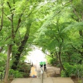 実際訪問したユーザーが直接撮影して投稿した平賀寺本土寺の写真