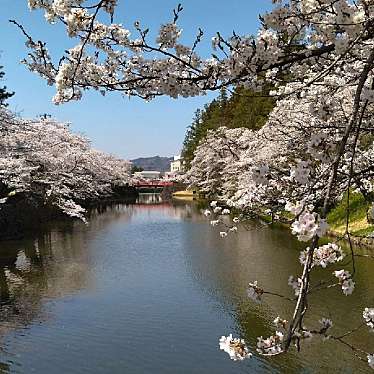 tabimaruさんが投稿した丸の内城 / 城跡のお店松が岬公園/マツガサキコウエンの写真