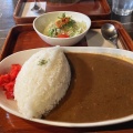 カレー - 実際訪問したユーザーが直接撮影して投稿した本町カフェしおやの写真のメニュー情報