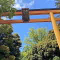 実際訪問したユーザーが直接撮影して投稿した宮下町地域名所川越氷川神社 大鳥居の写真