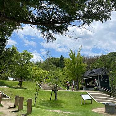 実際訪問したユーザーが直接撮影して投稿した糠沢公園スマイルキッズパークの写真