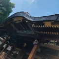 実際訪問したユーザーが直接撮影して投稿した湯島神社湯島天神の写真