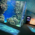 実際訪問したユーザーが直接撮影して投稿した久代町水族館 / アクアリウムしまね海洋館アクアスの写真