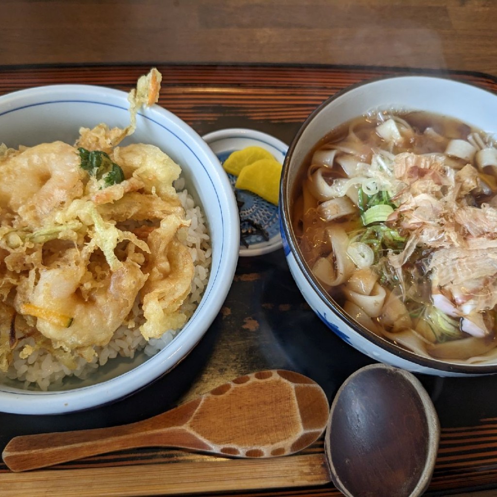 ユーザーが投稿したかき揚げ丼ランチの写真 - 実際訪問したユーザーが直接撮影して投稿した新船町定食屋たて科の写真