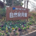 実際訪問したユーザーが直接撮影して投稿した川島笠田町公園木曽三川公園の写真