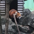 実際訪問したユーザーが直接撮影して投稿した北葛西動物園江戸川区自然動物園の写真