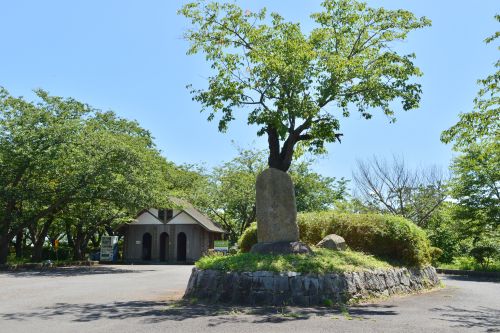 実際訪問したユーザーが直接撮影して投稿した牛堀公園権現山公園の写真