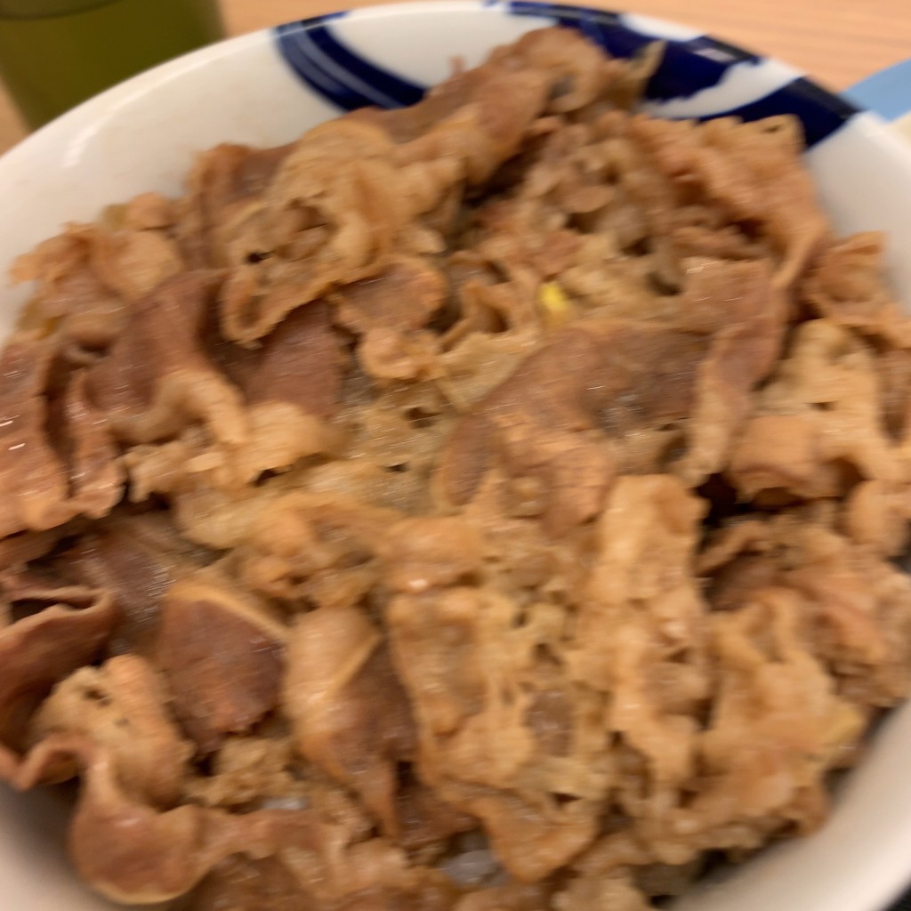 ユーザーが投稿した牛丼の写真 - 実際訪問したユーザーが直接撮影して投稿した綱島西牛丼松屋 綱島店の写真