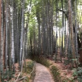 実際訪問したユーザーが直接撮影して投稿した真福寺町寺真福寺の写真