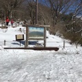 実際訪問したユーザーが直接撮影して投稿した筑波山 / 峠筑波山の写真