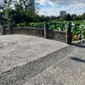 実際訪問したユーザーが直接撮影して投稿した上野公園橋天龍橋の写真