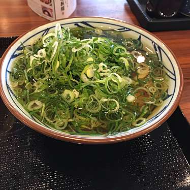 実際訪問したユーザーが直接撮影して投稿した浅江うどん丸亀製麺 光店の写真